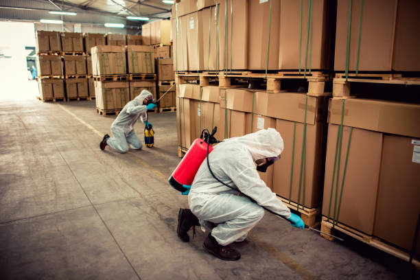 Best Pest Removal Services  in Big Spring, TX
