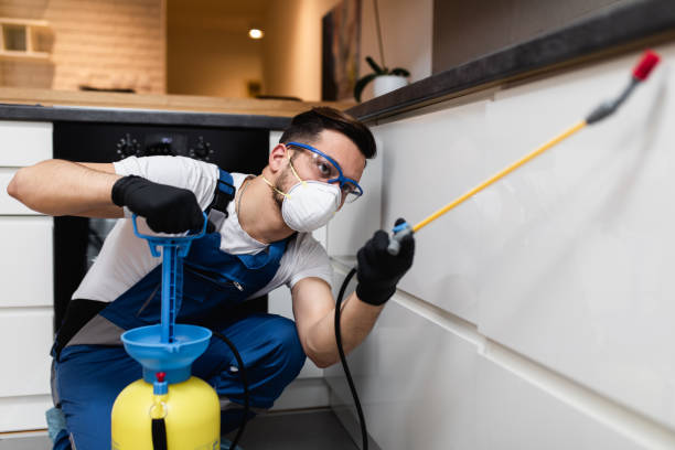Best Pest Control Near Me  in Big Spring, TX