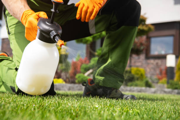Best Mosquito Control Services  in Big Spring, TX