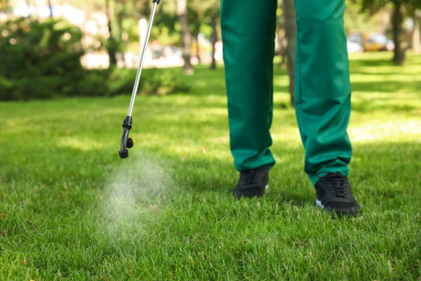 Best Wasp Removal Services  in Big Spring, TX