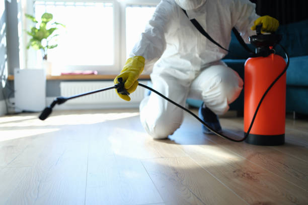 Best Pest Prevention Services  in Big Spring, TX