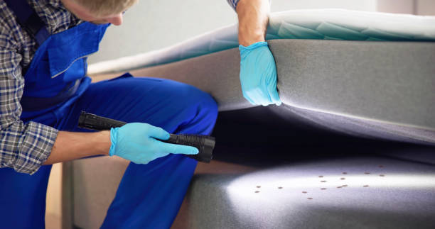Trusted Big Spring, TX Pest Control Experts