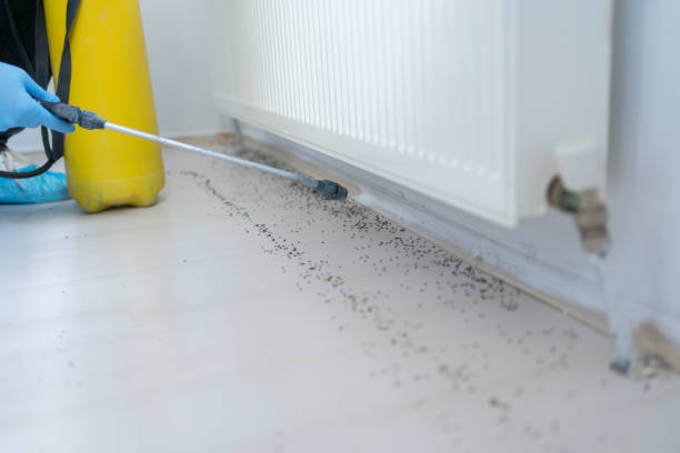 Best Residential Pest Control  in Big Spring, TX